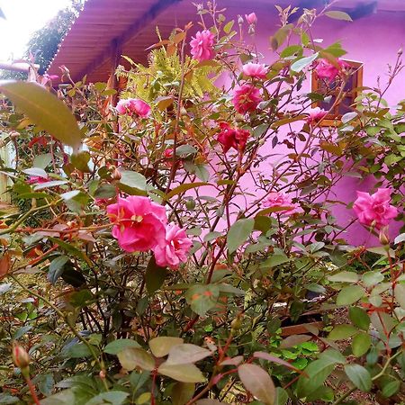 Villa Agape - Chapada Dos Veadeiros Alto Paraíso de Goiás Екстериор снимка
