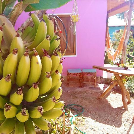 Villa Agape - Chapada Dos Veadeiros Alto Paraíso de Goiás Екстериор снимка