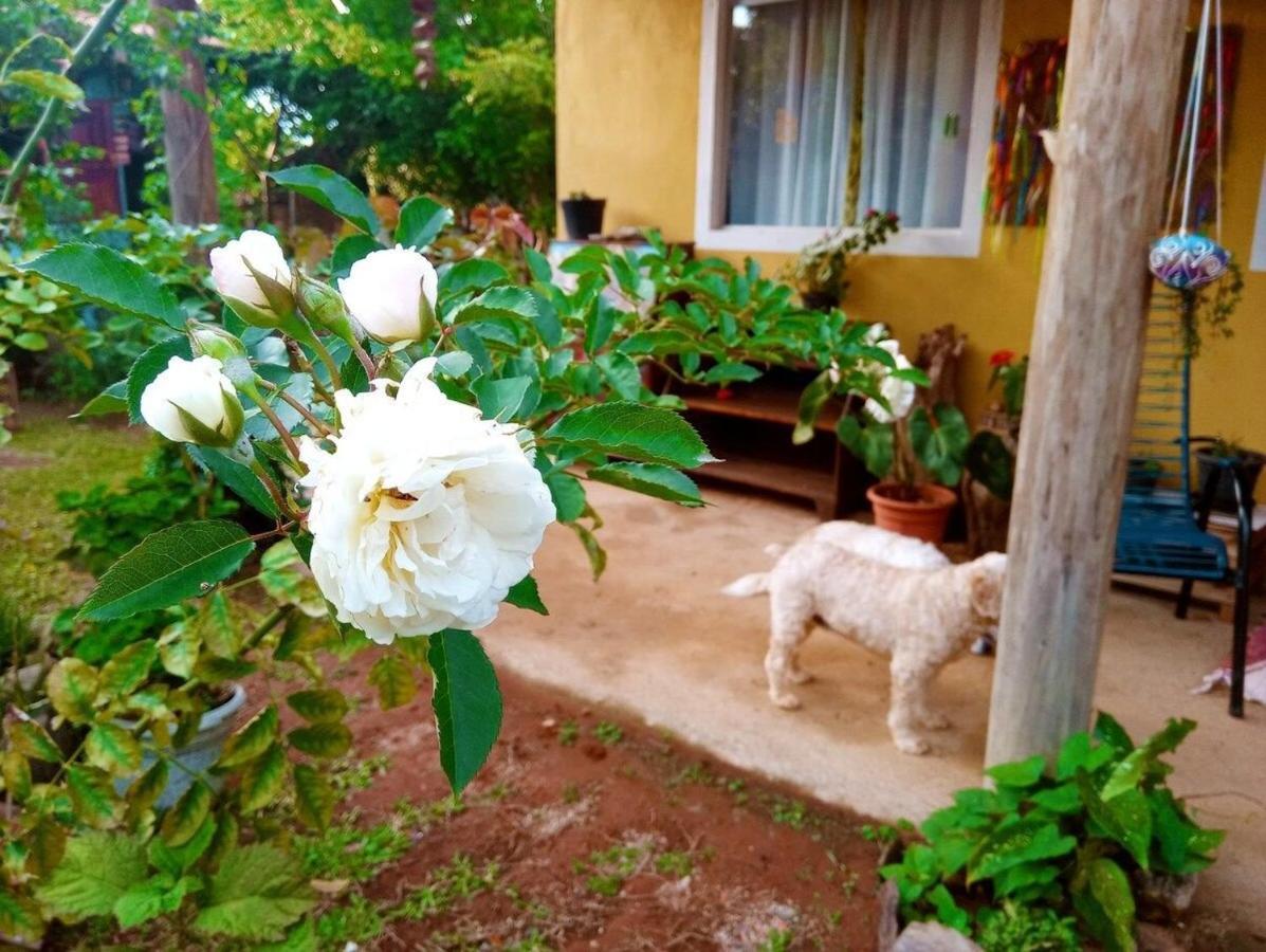Villa Agape - Chapada Dos Veadeiros Alto Paraíso de Goiás Екстериор снимка