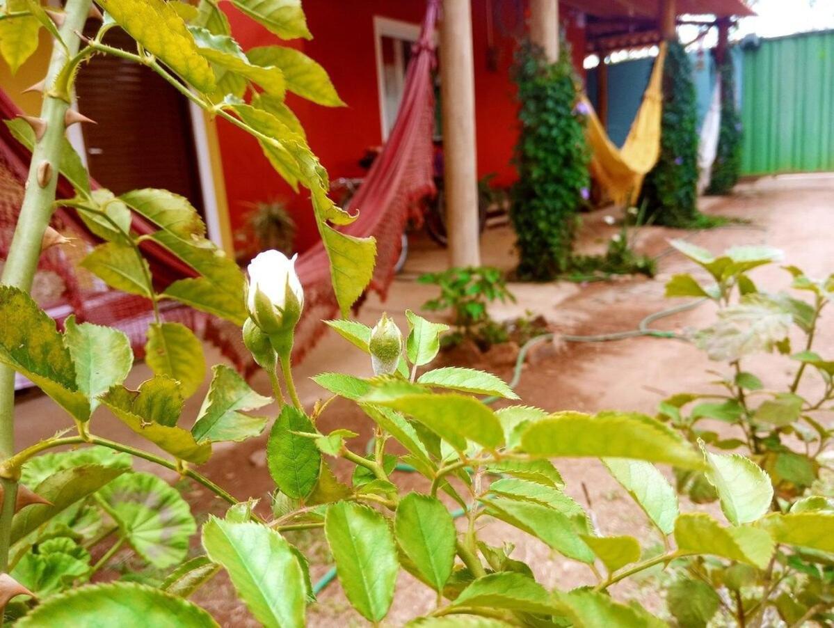 Villa Agape - Chapada Dos Veadeiros Alto Paraíso de Goiás Екстериор снимка
