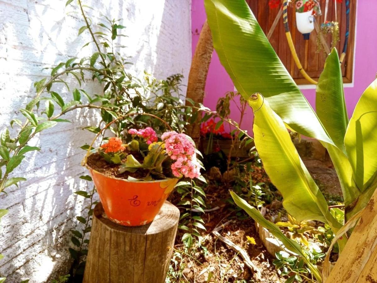 Villa Agape - Chapada Dos Veadeiros Alto Paraíso de Goiás Екстериор снимка
