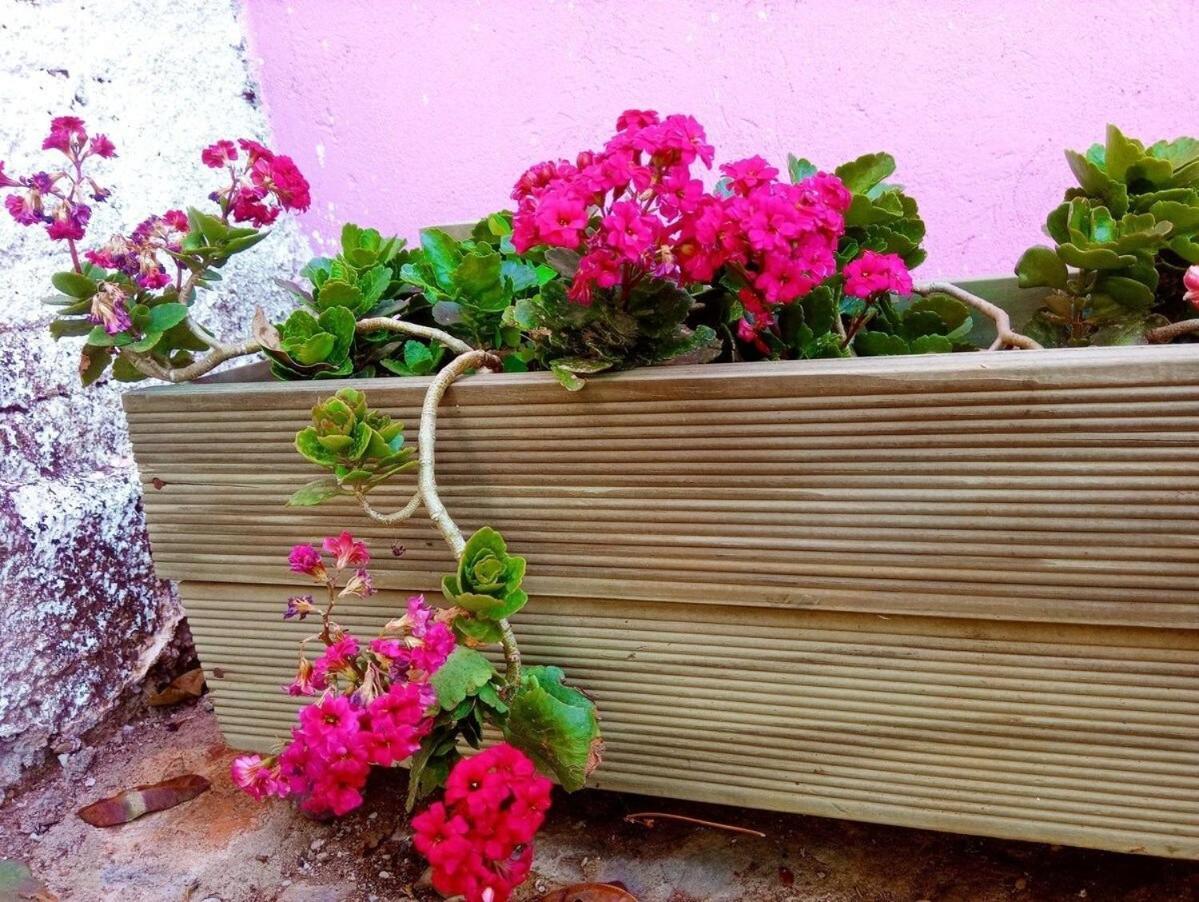 Villa Agape - Chapada Dos Veadeiros Alto Paraíso de Goiás Екстериор снимка