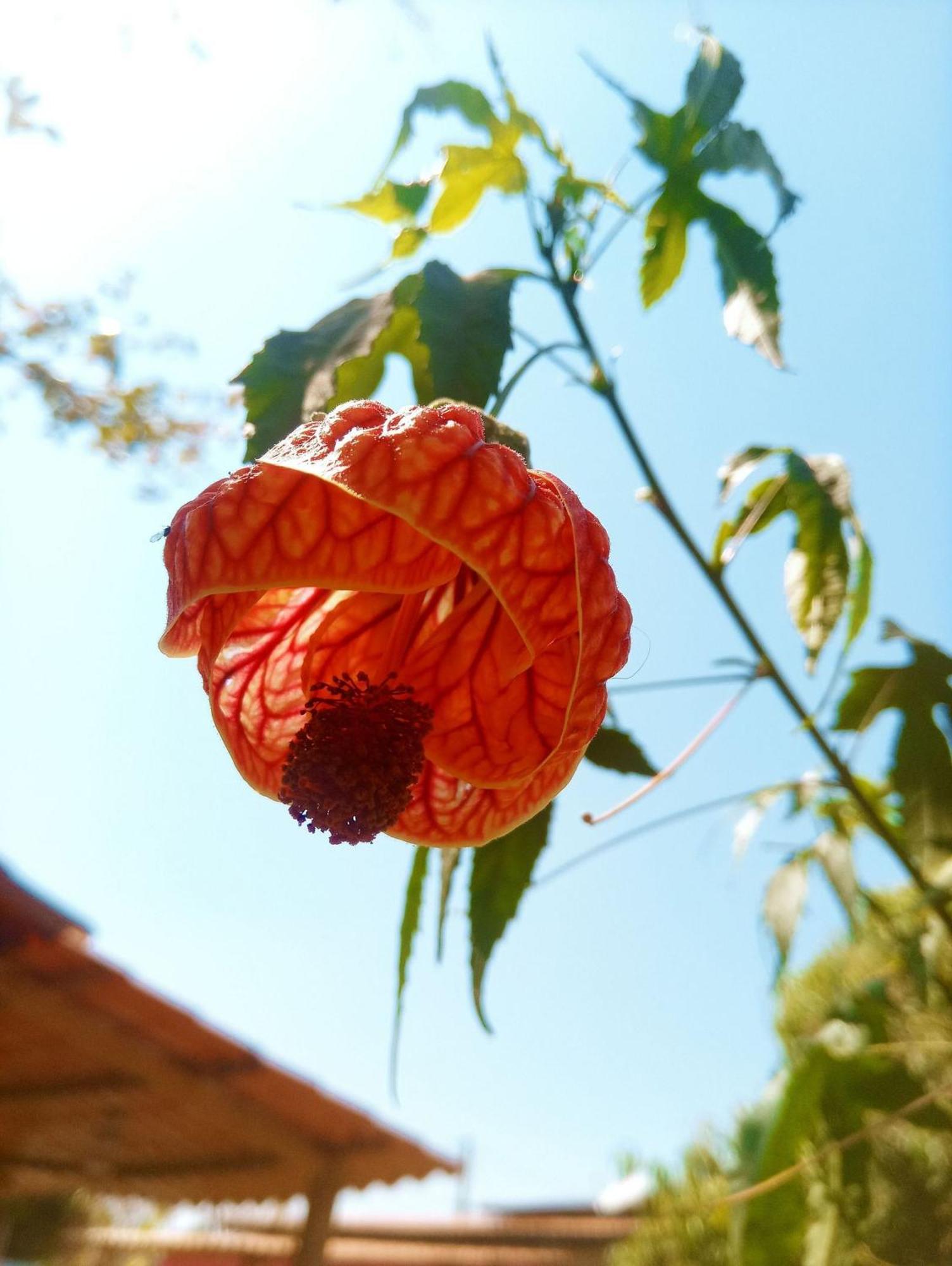 Villa Agape - Chapada Dos Veadeiros Alto Paraíso de Goiás Екстериор снимка