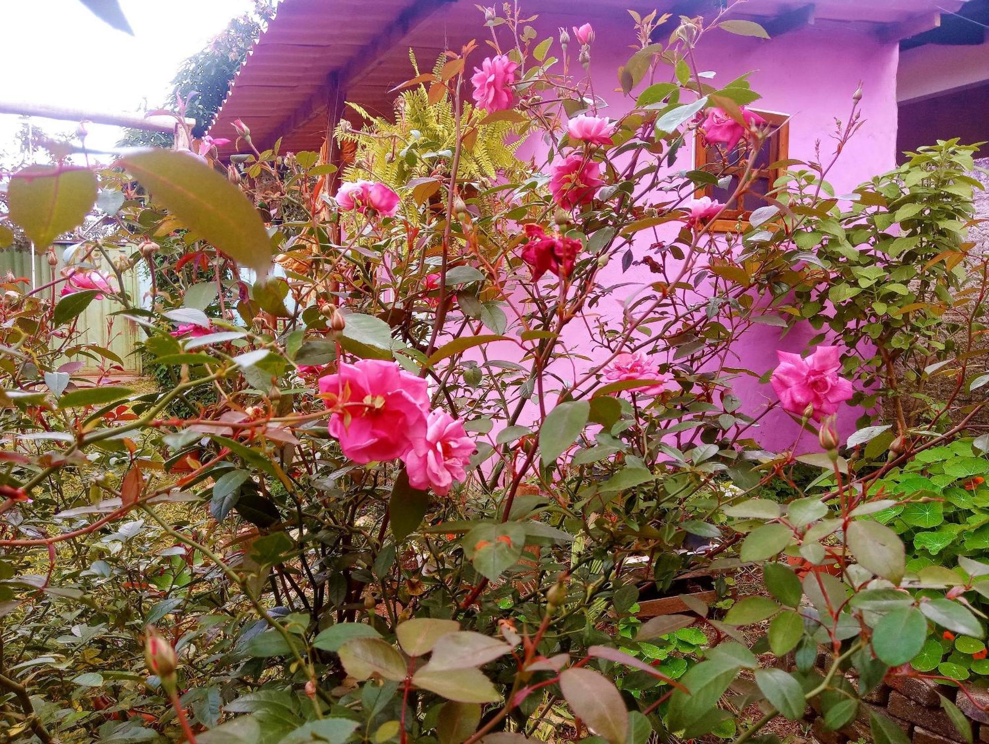 Villa Agape - Chapada Dos Veadeiros Alto Paraíso de Goiás Екстериор снимка