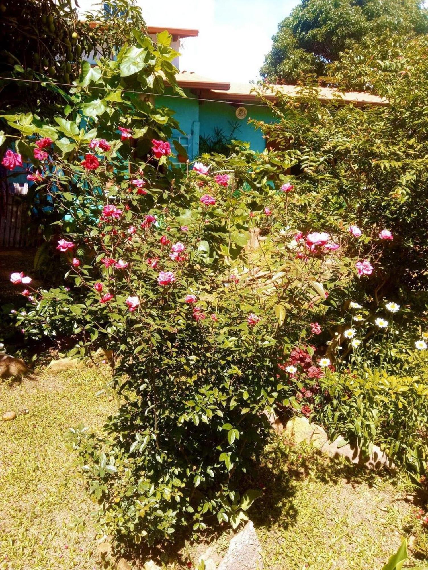 Villa Agape - Chapada Dos Veadeiros Alto Paraíso de Goiás Екстериор снимка